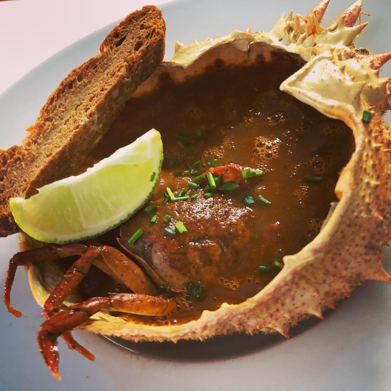 taberna de viavelez 16 mariscos del cantabrico