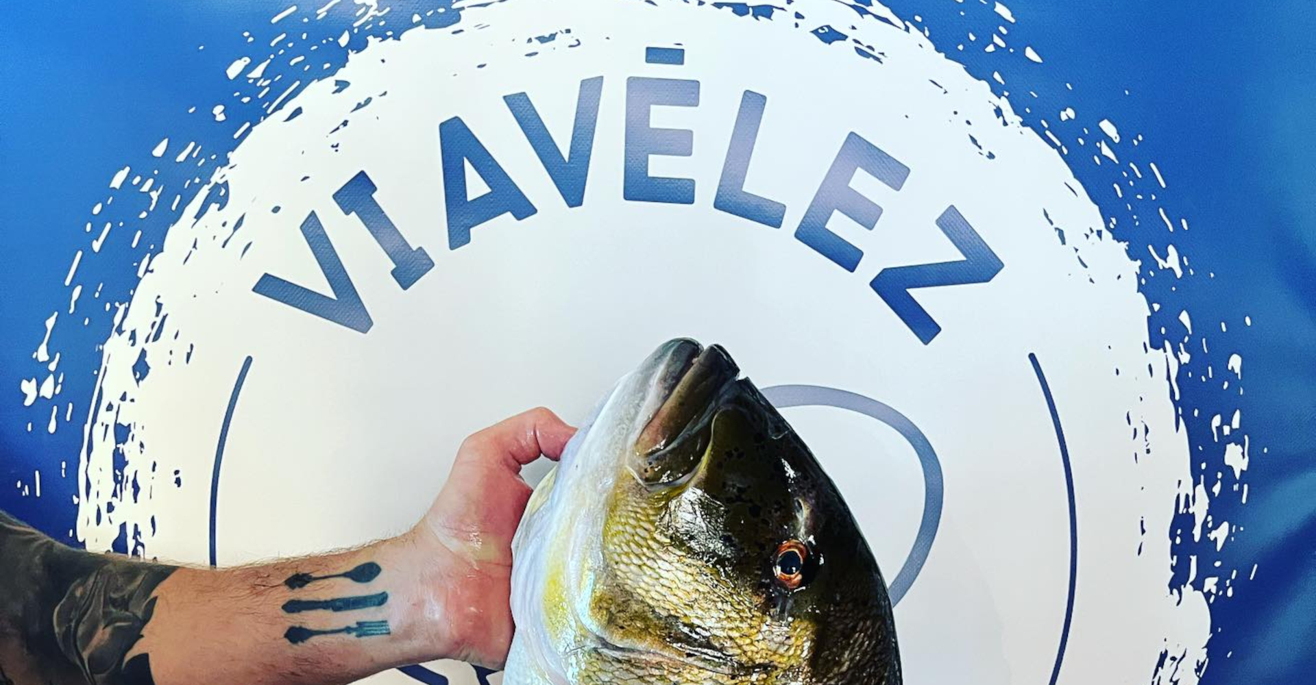 taberna de viavelez 20